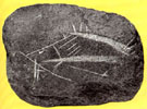 Камень с изображением рыбы